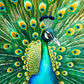 Peacock Puzzle – Emerald Peacock – 1000 Piece Jigsaw Puzzle