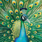 Peacock Puzzle – Emerald Peacock – 1000 Piece Jigsaw Puzzle