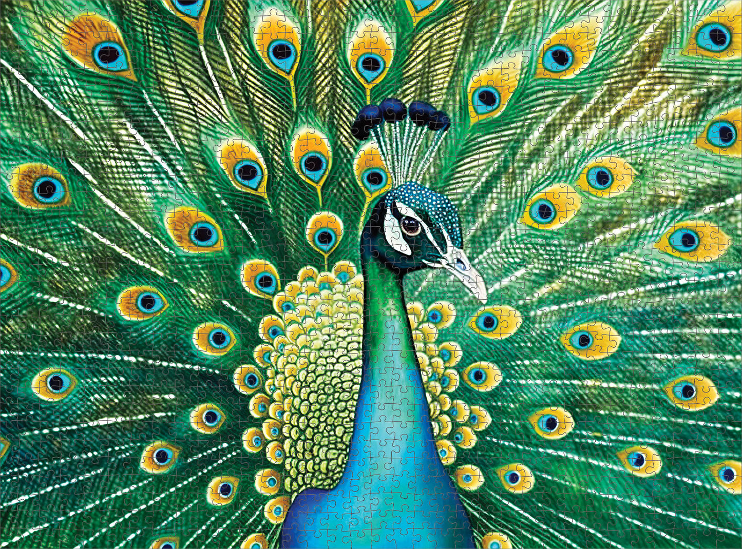 Peacock Puzzle – Emerald Peacock – 1000 Piece Jigsaw Puzzle