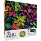 Jardin des Couleurs - Puzzle 1000 pièces