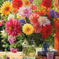 Dahlia Puzzle – Rainbow Dahlia Delight – 1000 Piece Jigsaw Puzzle