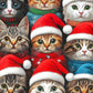 Whisker Wonderland: Holiday Cats Edition - 1000 Piece Jigsaw Puzzle