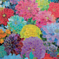 Gilded Dahlia Symphony - 1000 Piece Jigsaw Puzzle