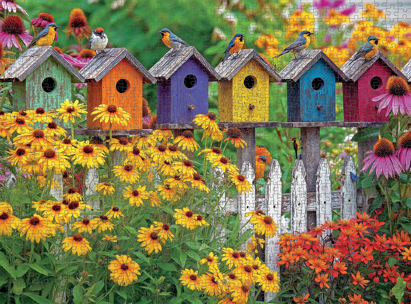 Butterfly Puzzle – A Fence Full of Song – 1000 Piece Jigsaw Puzzle