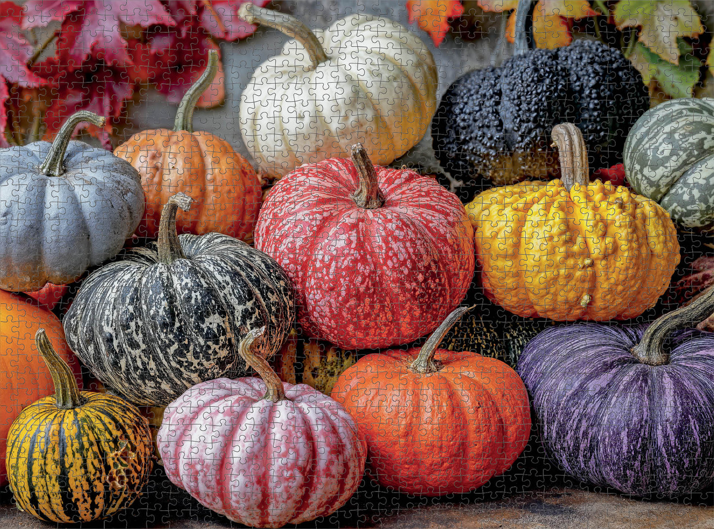 Fall Puzzle – Harvest for the Table – 1000 Piece Jigsaw Puzzle
