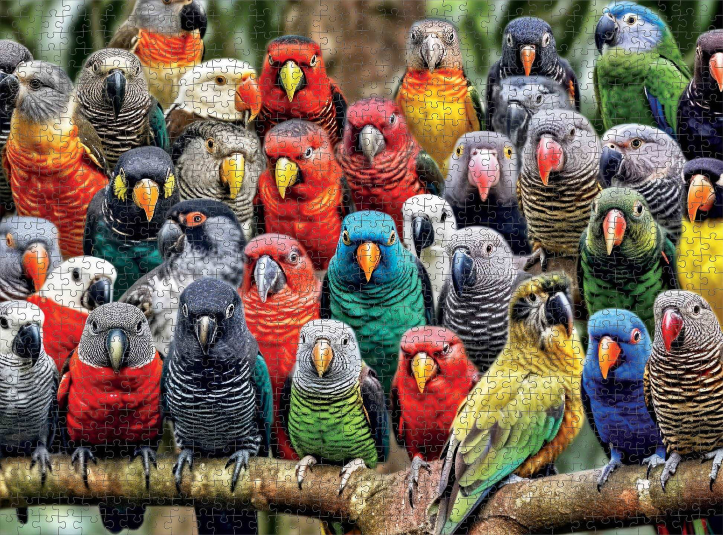 Kaleidoscope of Feathers - 1000 Piece Jigsaw Puzzle Jigsaw Puzzles Cross & Glory