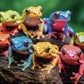 Rainbow Ribbit: Frog Ensemble - 1000 Piece Jigsaw Puzzle Jigsaw Puzzles Cross & Glory